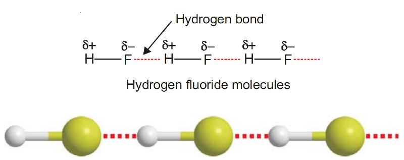 hbond HF.png